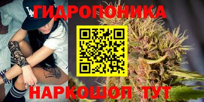 МДПВ Волгодонск