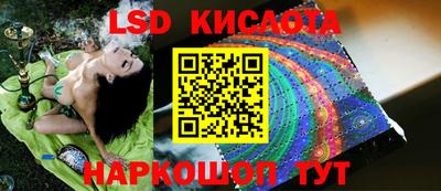МДПВ Волгодонск