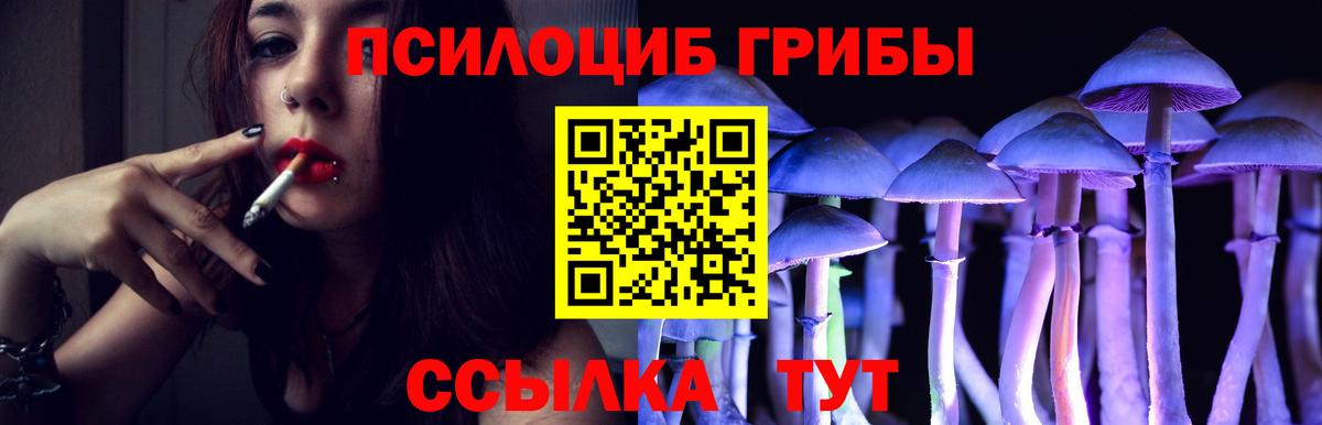 купить наркотики сайты  Вход с VPN  Обнинск  Псилоцибиновые грибы Psilocybe 